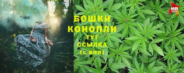 шишки Покровск