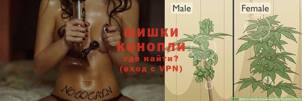 шишки Покровск