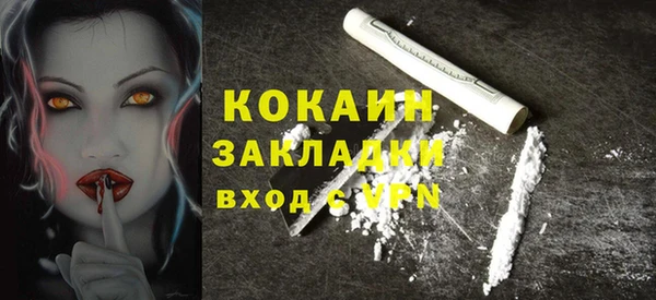 дмт Губаха
