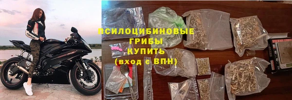 спиды Грязовец