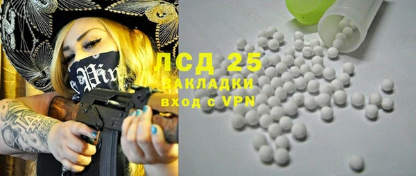 спиды Грязовец