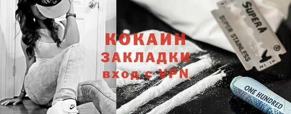 шишки Покровск